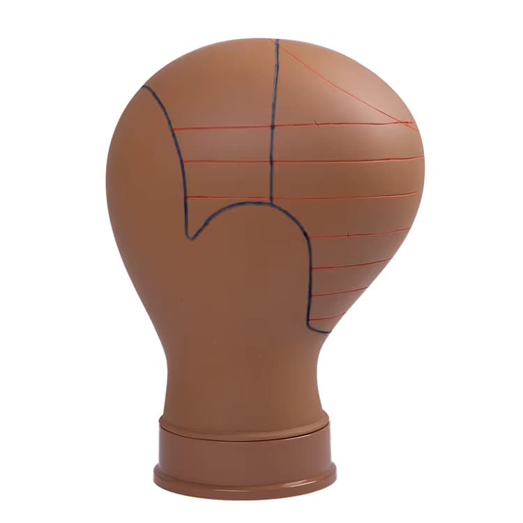 POLYMER CANVAS HEAD